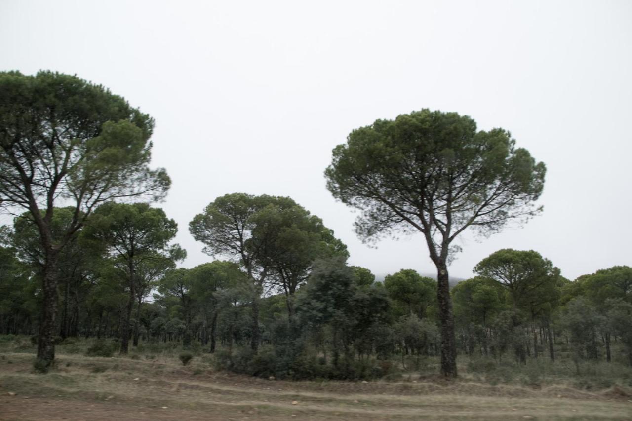 Posada Del Herrero 마드리데호스 외부 사진